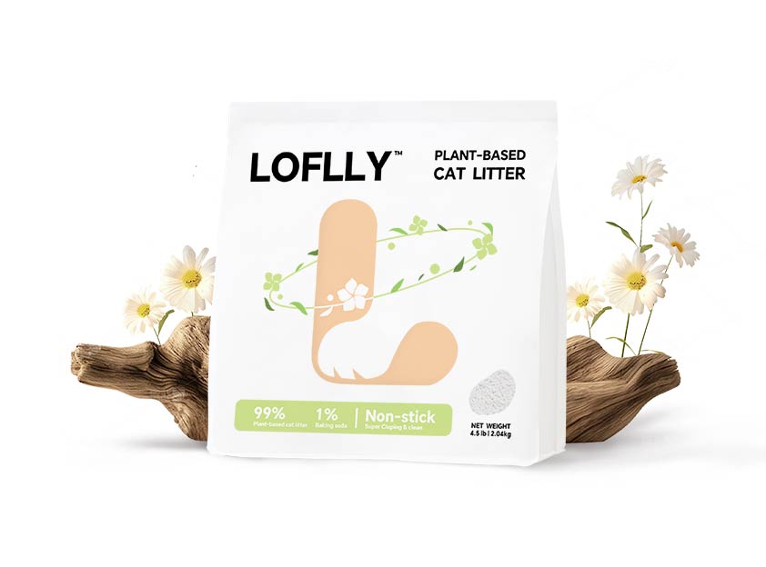 LOFLLY