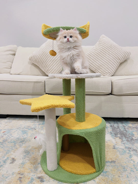 LOFLLY Cloud Cat Tree